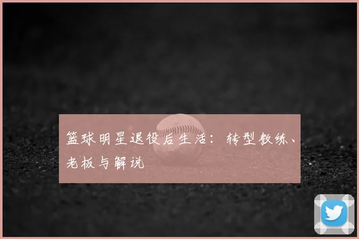 篮球明星退役后生活:转型教练、老板与解说